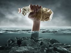 Глава Минприроды о борьбе с пластиком и ответственности производителей за свои товары