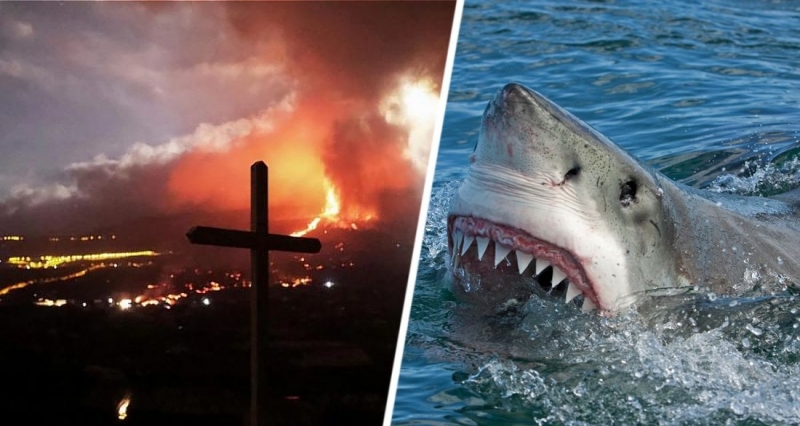 Акулы, закрытие аэропортов и облака пепла: туристам выпустили предупреждение по Испании
