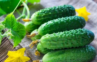 «А как же война и агрессор?»: впервые в истории Украина стала импортировать российские огурцы