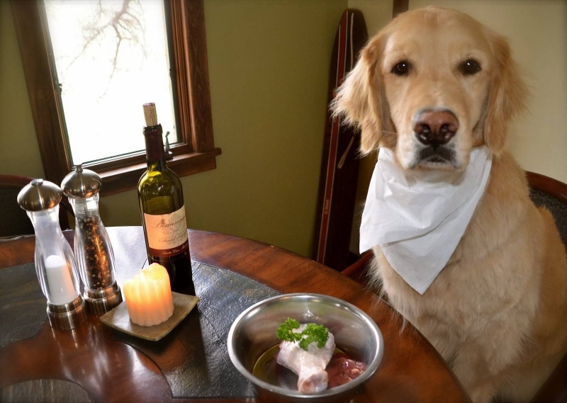 Кинолог перечислил продукты и предметы, которыми может отравиться собака