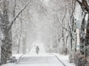 В Гидрометцентре предупредили о метелях и снежных заносах