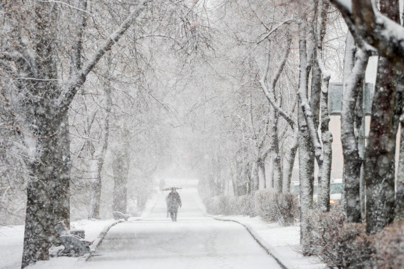 В Гидрометцентре предупредили о метелях и снежных заносах