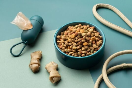 Выбор идеального корма для вашего питомца: Руководство